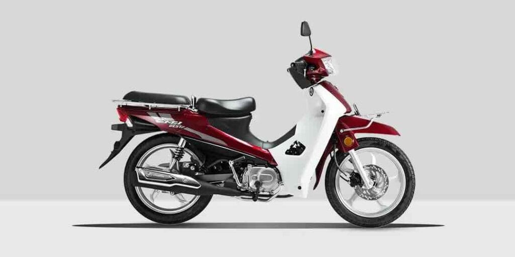 시티베스트 슈퍼커브 비교